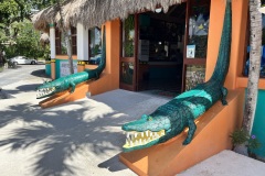 Puerto Morelos - Croco Cun Zoo